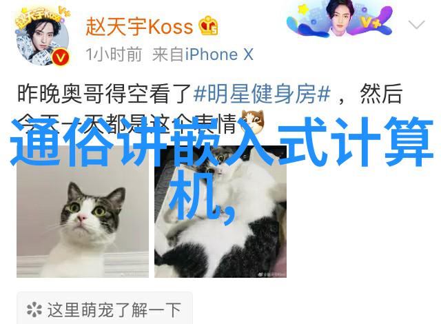 在建程网的迷雾中你能找到属于自己的路吗