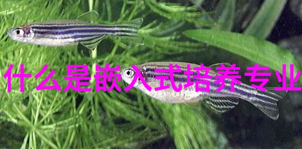 dds-11a电导率仪精确测量电解质的强大工具
