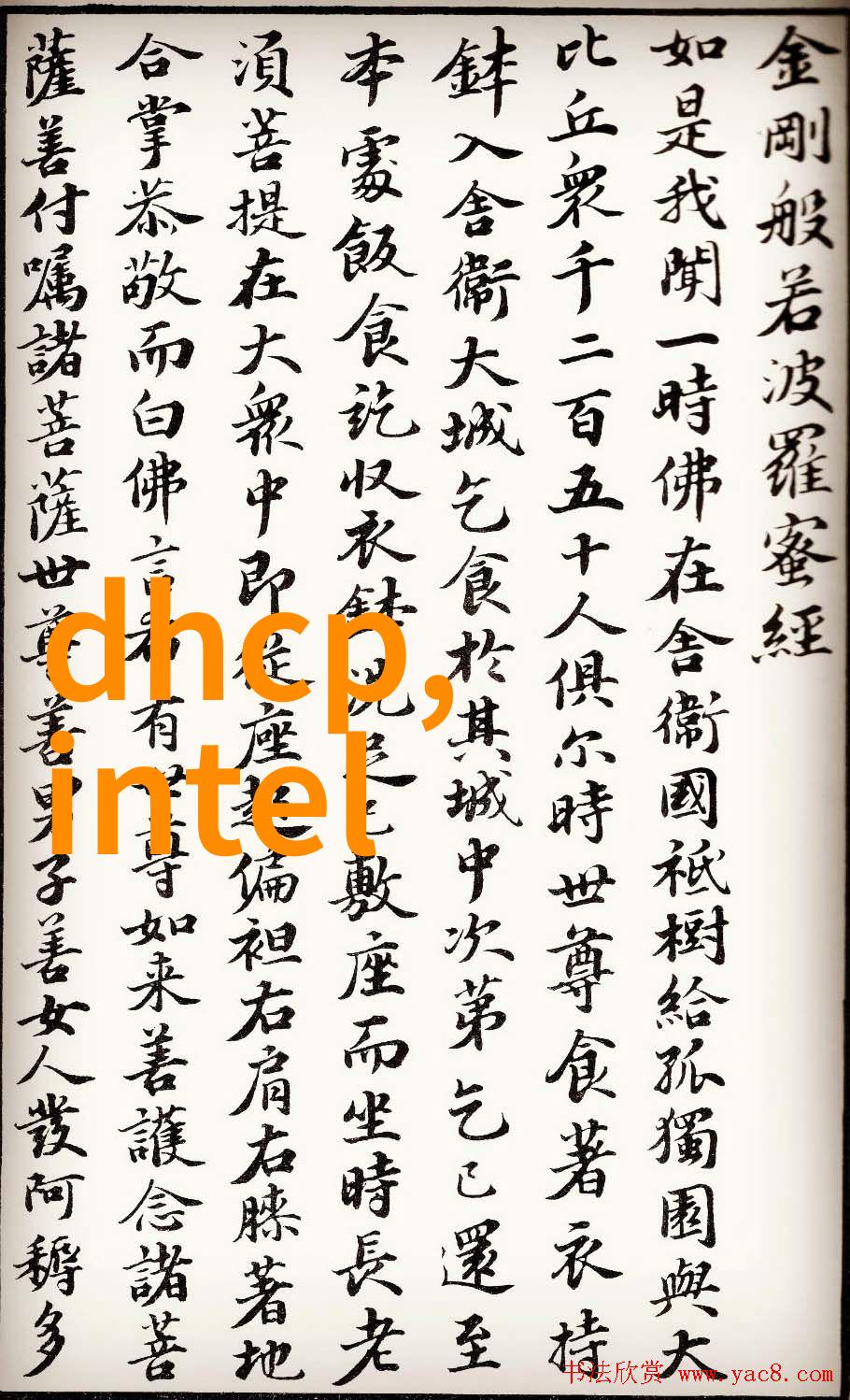 油水分离器操作技巧高效油水分离的科学方法