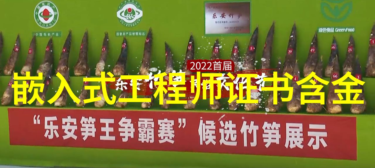 化工设备布置图解析与应用实例