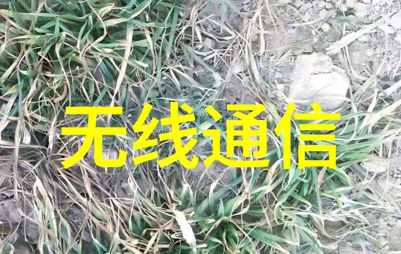 吉方工控携手英特尔共谱智能制造交响乐高性能工控机赋能行业创新