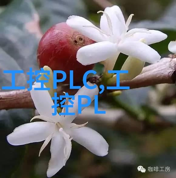 无头骑士异闻录12-时空裂缝中的诡秘使者无头骑士的最后传奇
