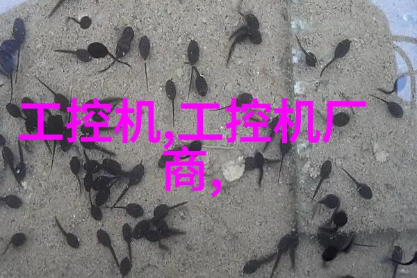 总氮测定仪的精确分析原理与应用实例
