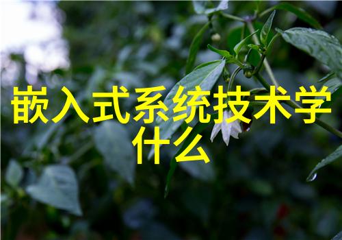 家用水质检测揭秘如何确保清洁饮用水
