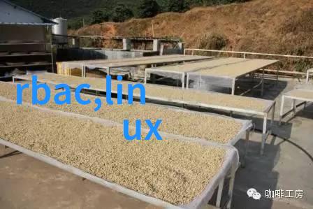 自助水质检测个人可以如何安全有效地检验饮用水质量
