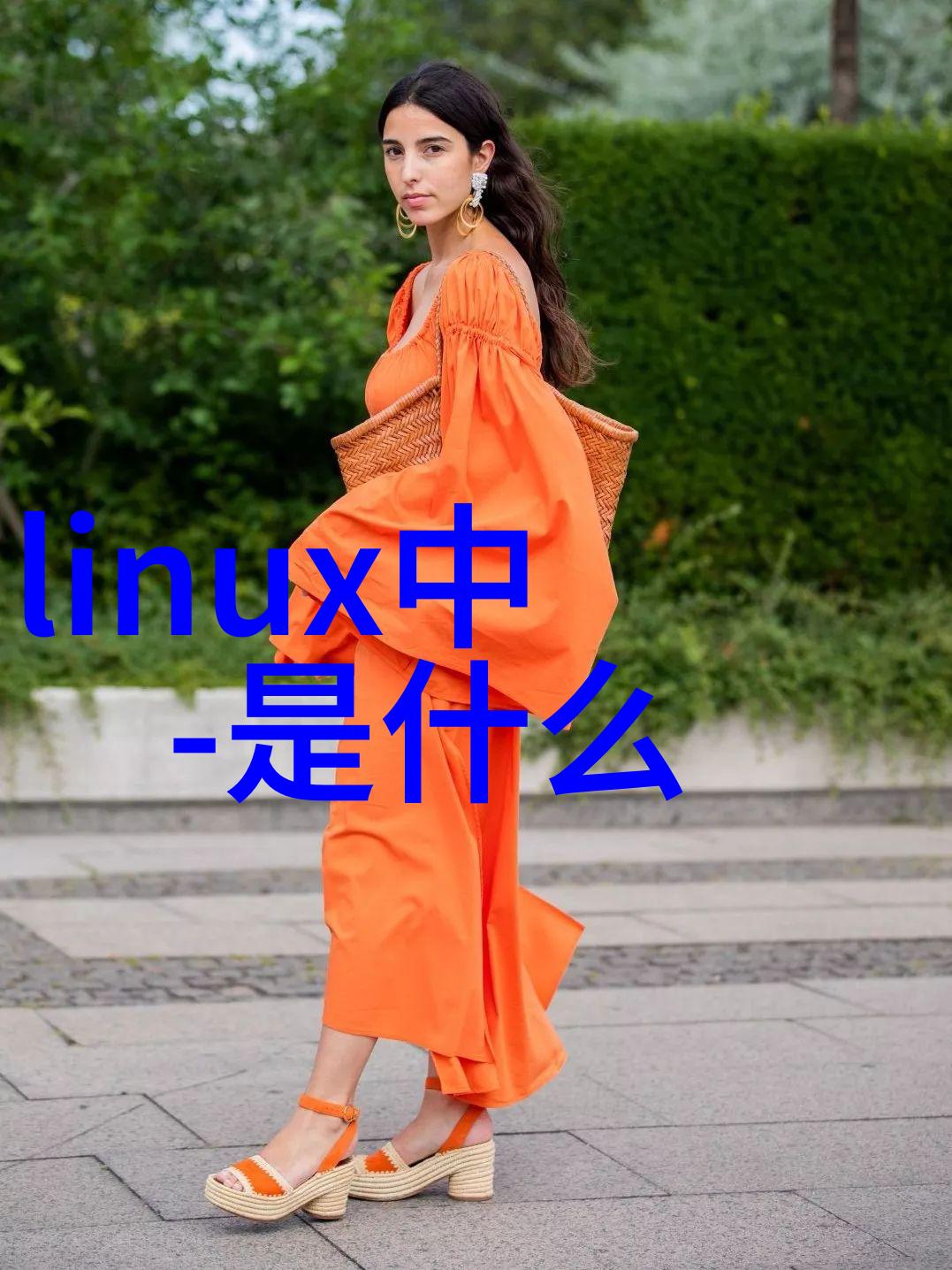 大数据分析在智能化资讯时代扮演什么角色以及它带来的潜在风险是怎样的