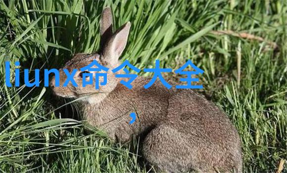 水质净化新纪元逆渗透技术的崛起与应用