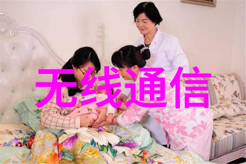 嵌入式开发与软件开发差异嵌入式系统设计与通用应用程序编程的对比