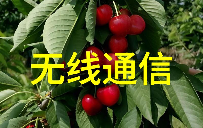 滚筒干燥设备高效稳定的物料处理技术