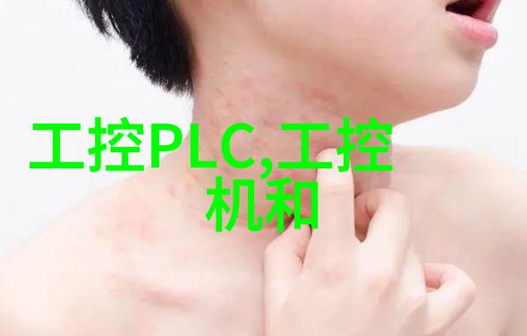 RISC处理器架构与设计的创新之路
