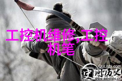 心尖野玫瑰逆袭的美丽与痛苦