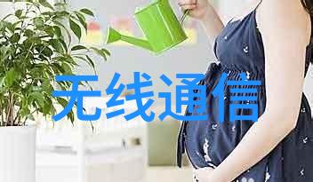 微型工控机-精巧设计强大性能揭秘微型工控机的未来趋势