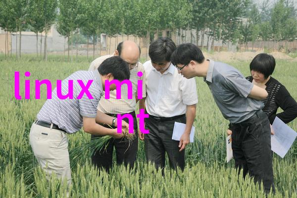 如何看待2022年的国际半导体市场发展