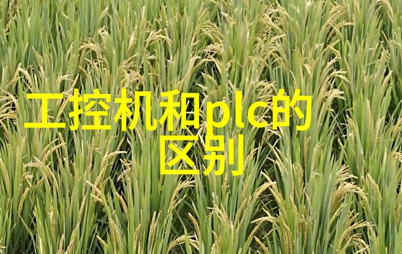 沉浮小说中的RB系统攻略如何在虚拟世界中称霸与存活