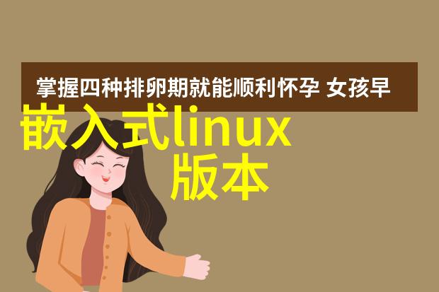 为何在撰写申请费用的报告时需要详细说明每项费用