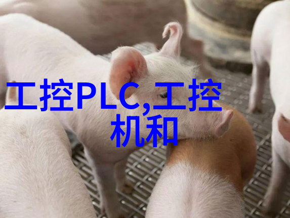 GPS技术我是如何用GPS定位找到回家的路的