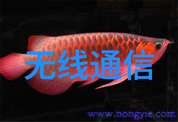 上海分离机高效液相分离技术在上海的应用与发展