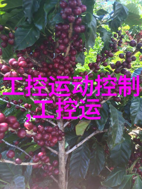 掌心肆宠探索宠物与人类关系的深度