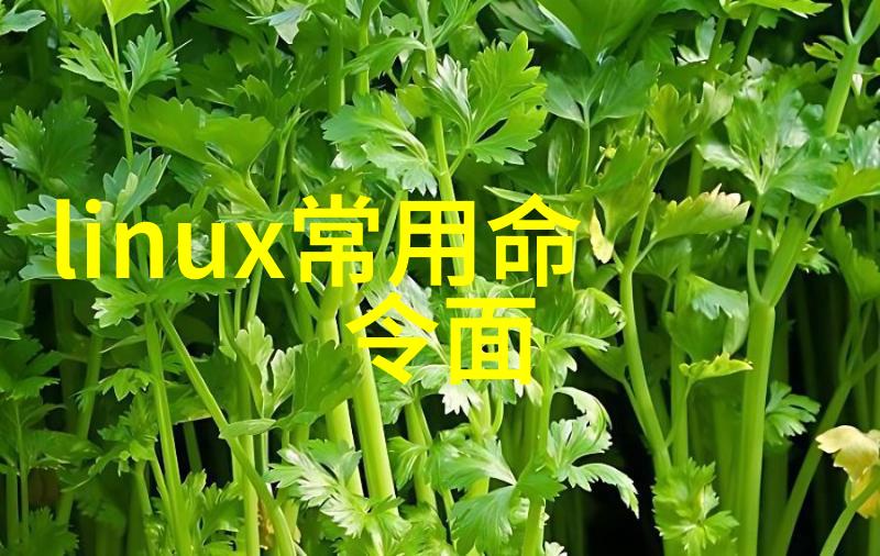 化工药包材制造设备高效稳定成套设备