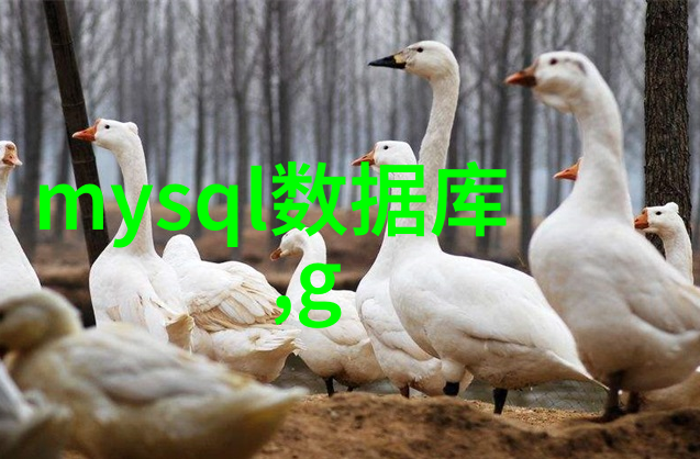 人才评估测试答案职业发展的重要指南