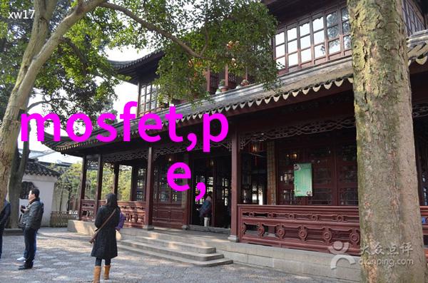 中国芯片公司有哪些倪光南院士引领RISC-V开源革命强化全产业链整合