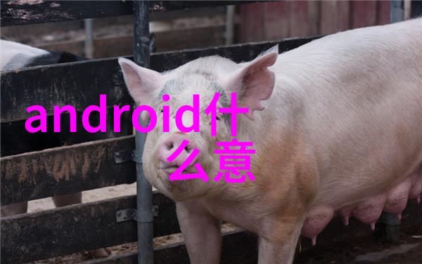 火车上的中国人速成人像摄影技巧与光影操控全攻略