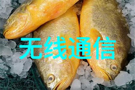 嵌入式系统设计从概念到产品