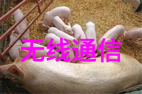 机器之心揭秘那些隐形的嵌入式产品