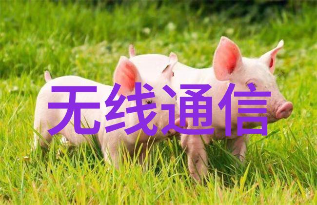 提升机厂家-重构物流效率提升机厂家的创新与挑战