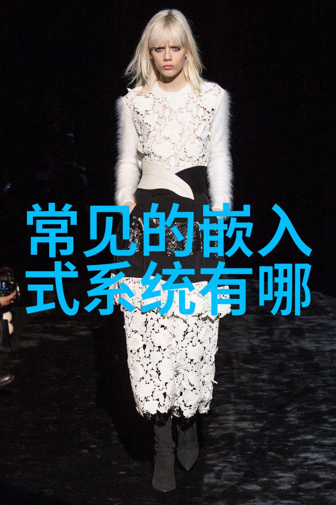 厨房装修之争古典与现代的橱柜对决