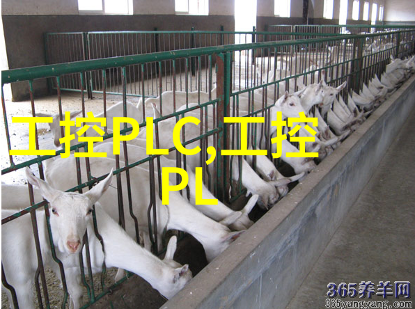 硬件与灵魂嵌入式开发与软件开发的逆袭对决