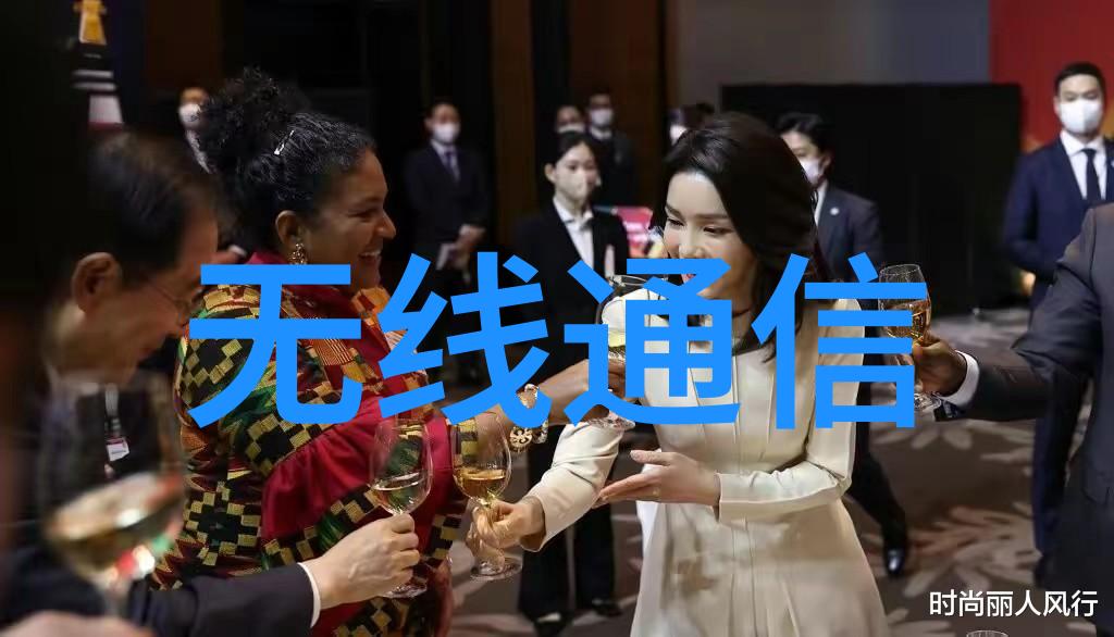从基础到高级精馏塔的不同类型与应用