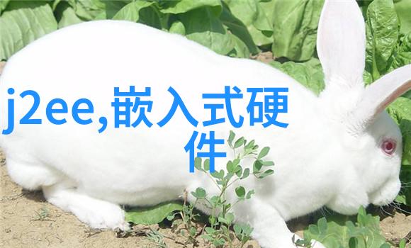 冷气系统配件确保制冷设备的高效运行