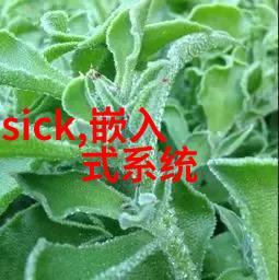 提升驾驭乐趣让行车不再单调娱乐系统升级必备装备