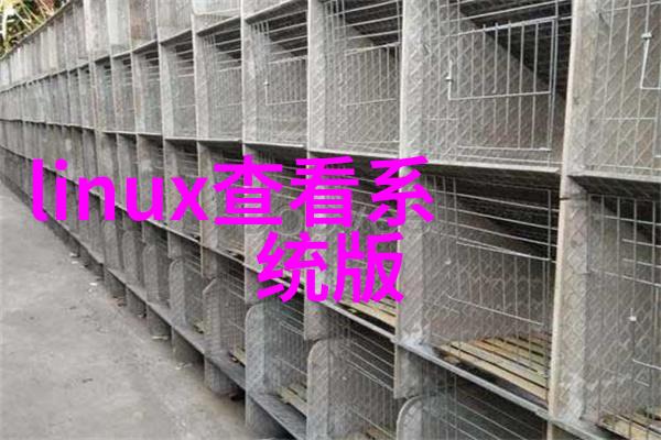 镜面之下洗手间装修的反差艺术