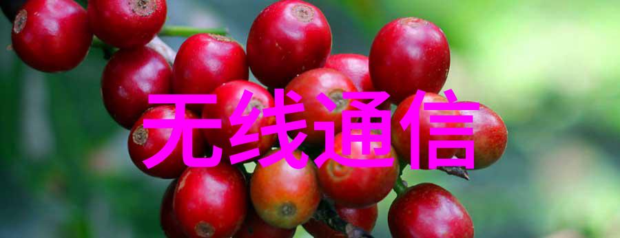 智能家居穿梭在数字梦想的织梦机