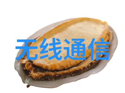 深度融合当智能触手可及时隐秘的嵌入式计划将揭开真相