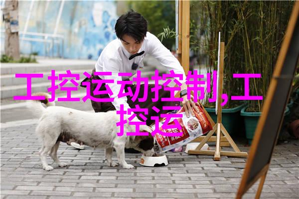 守护神英雄竞赛我是如何成为那场盛名的比赛中最强守护者的