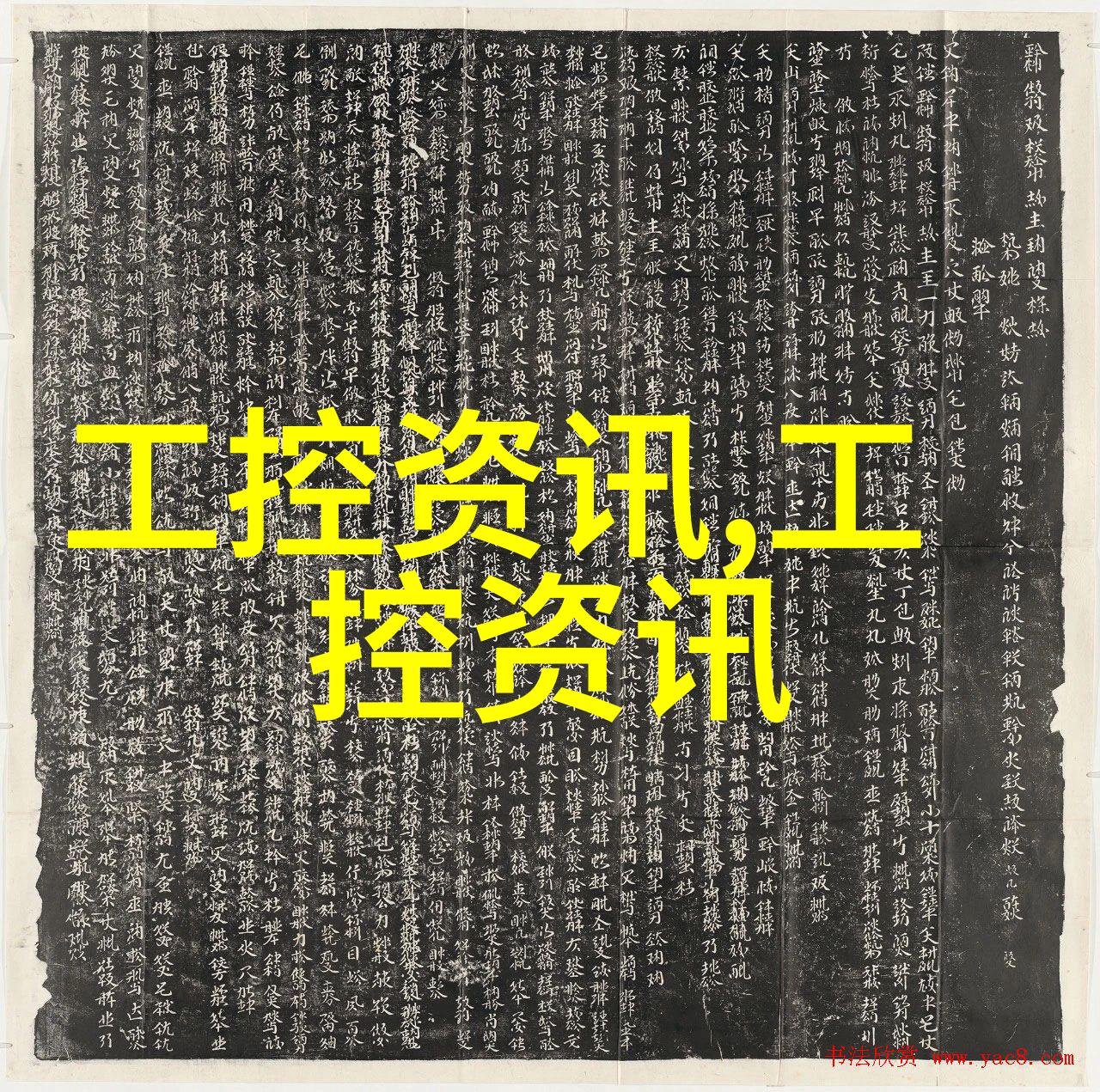 温暖的兔子拥抱揭秘我的软毛小伙伴和它们的水玩乐时刻