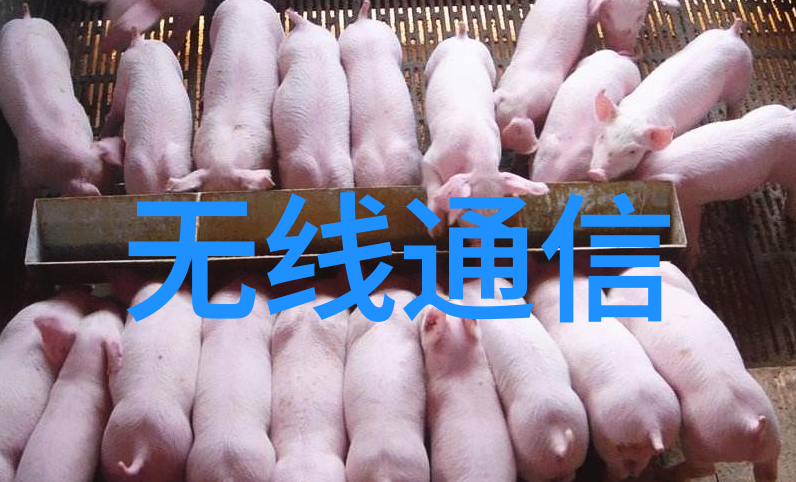 未来技术发展下嵌入式计算机会有哪些新的变化