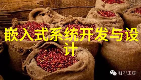 清澈源自自然水之歌的机械守望者