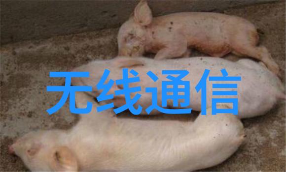 冬至糙汉H1VL1冬季特有的男生风格