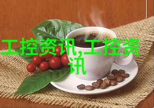 食全食美少地瓜健康生活的新选择
