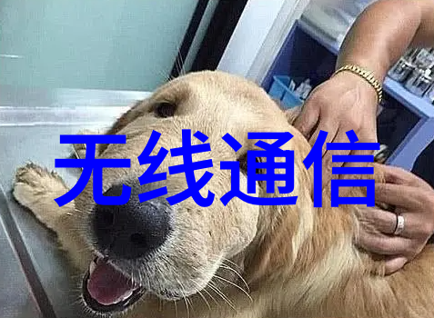 放荡的教师麻麻背包与黑板之间的不羁篇章