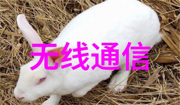 嵌入式软件工程师培训我来教你如何成为一个高效的嵌入式软件工程师