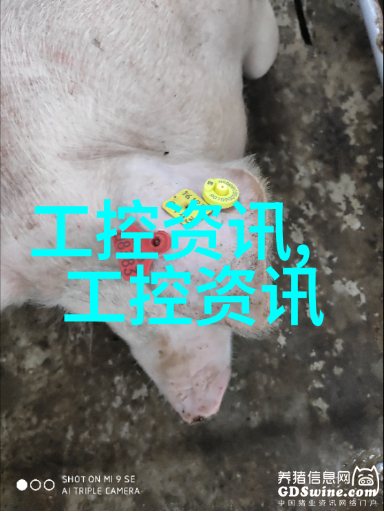 好妈妈探索韩国电影中母爱的深度与复杂性
