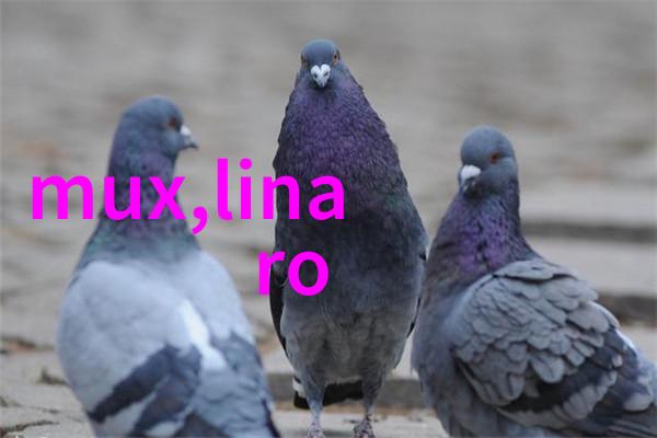 攻克技术难题彰显服务价值