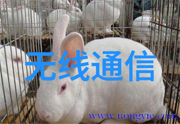 PE法兰接头与PE管连接技术概述