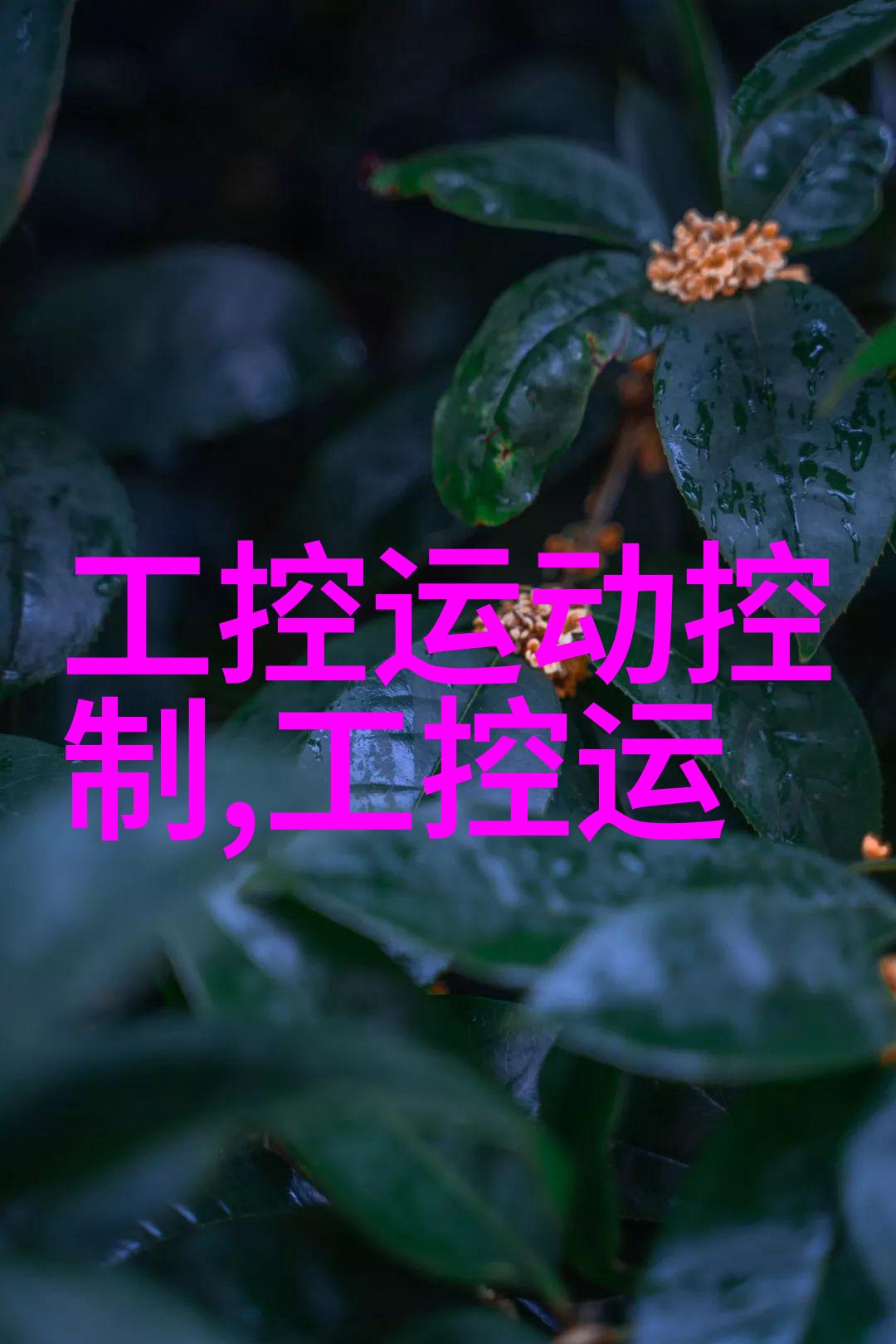 反应釜内衬怎么洗-清洁化学实验设备一篇详解如何正确洗涤反应釜内衬的指南