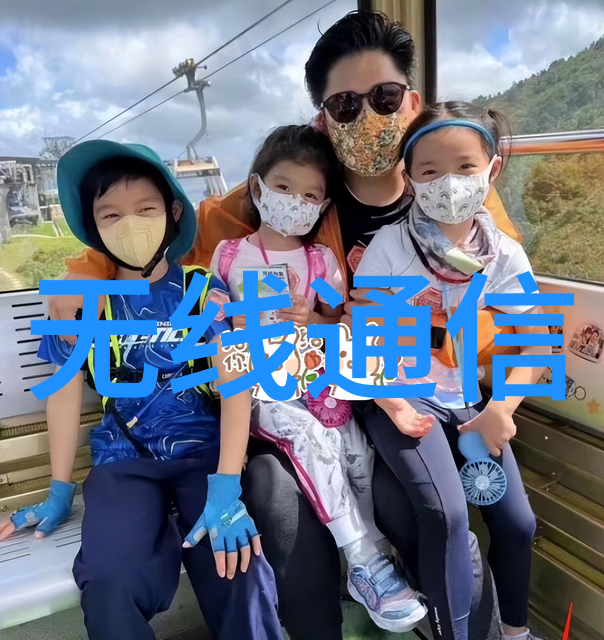 嵌入式系统设计与应用提升专业技能的证书之旅